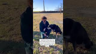 Old Dog In Need VS Friends.. What Would You Do?