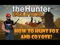 How to Hunt Fox and Coyote in Hunter Call of the Wild