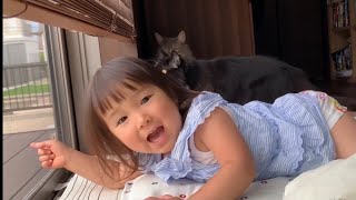 カラスの襲来に興奮する娘と猫たち　ノルウェージャンフォレストキャット　ラガマフィン　Daughters and cats crazy about visiting crows