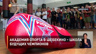 Академия спорта в Шебекино – школа будущих чемпионов