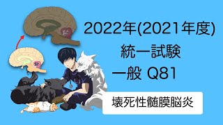 2022一般Q81『壊死性髄膜脳炎』 愛玩動物看護師国家試験対策