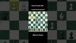 Chess Puzzle 018