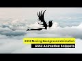CSS3 Moving Background Animation Tutorial | CSS3 Animation Snippets