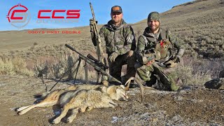 Cody's First Double - Coyote Calling Chaos