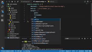 358 Setting Up the Basic Webpack Config