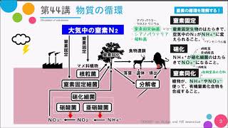 【高校講座 生物基礎】第44講「物質の循環」