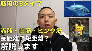 筋肉の3タイプ／長距離？短距離？赤筋・白筋・ピンク筋解説します