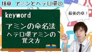 【大学 有機化学】～第18章～ アミンとヘテロ環① アミンの命名法とヘテロ環アミンの覚え方