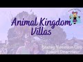 Animal Kingdom Villas Disney Vacation Club Fast Facts | Kidani Village & Jambo House DVC Overview