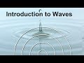 Physics Waves: Frequency & Wavelength FREE Science Lesson