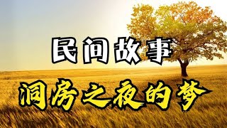 民间故事：男子救助小黑猫，洞房之夜小黑猫托梦：小心着你的新娘