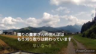 ほっこり爺の農業観察日和  今年の稲刈り完了❢❢　