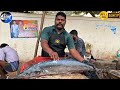 KASIMEDU SELVAM VANJIRAM FISH SLICES WITH HIS SHARP SWORD🔪KF FISH CUTS