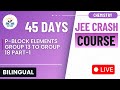 Chemistry For JEE-Main 2025 |  p-Block Elements Group 13 to Group 18 Part-1  | Bilingual