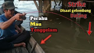 MANCING IKAN DISUNGAI NAGARA... Perlawanan ikan cukup hebat , disaat perahu mau tenggelam ‼️