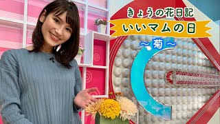 いいマムの日「きょうの花日記」11月3日放送