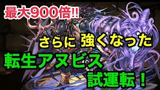 【パズドラ】転生アヌビスの火力はどれくらいなのか試運転！【攻略】