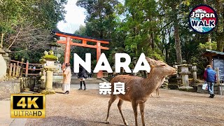 This Is the Side of Nara Most Tourists Miss! | Walking Tour