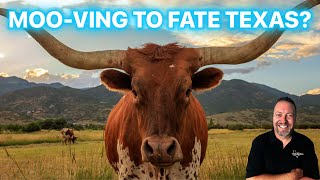 The Future Of Fate, TX | 2025 New Homes You NEED to See