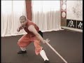 shaolin sanda