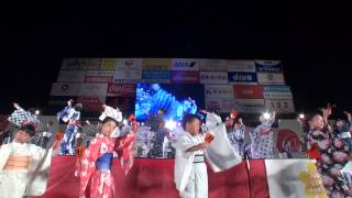 正調よさこい鳴子踊り 五流派演舞　第60回よさこい祭り　前夜祭　中央公園会場　2013年8月9日