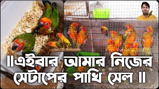 এইবার আমার নিজের সেটআপের পাখি সেল || sun conure for sale || #sunconure