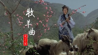 電子琴演奏經典名曲《牧羊曲》，宛如天籟之音，滿滿的韻味