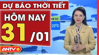 Dự báo thời tiết ngày 31/1: Bắc Bộ rét khô, Trung Bộ, Nam Bộ có mưa vài nơi | ANTV