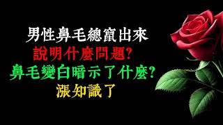 男性鼻毛總竄出來，說明什么問題？鼻毛變白暗示了什么？漲知識了