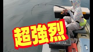 (クロマグロ解禁翌日）函館山沖で超強烈なアタリがキタ！