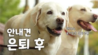 은퇴 후 3년, 해리의 발랄한 일상생활