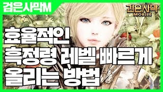 검은사막 모바일 흑정령 레벨 빠르게 올리는 방법 - 검은사막M 효율적인 방법 [사키엘TV]