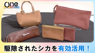 【Oneトレ】鹿を有効活用！唯一無二の革製品