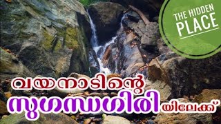 Trip to Suganthagiri/Wayanad/വയനാടിന്റെ സുഗന്ധഗിരിയിലേക്ക്.