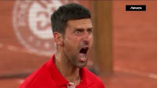 Djokovic Wildest Reactions Ever