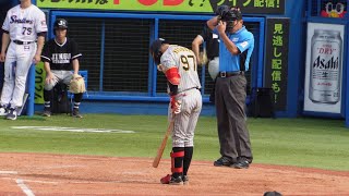 6.29 野口恭佑 1軍デビューは代打で死球