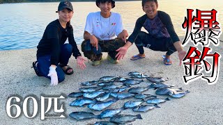 堤防から60匹...短時間で超釣れるウキ釣りのアタリ見せます...【釣りガール覚醒】