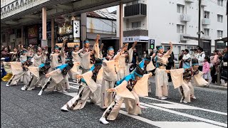 ぶち楽市民祭 2024  練り歩き会場  舞龍人 晴夜