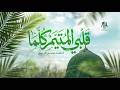نشيد قلبي المتيم | أناشيد جديدة 2026