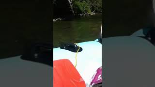 Cowichan River Tubing-Part 3: Headed for Disaster!😰🙊