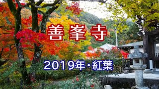 京都街歩き「善峯寺」　2019年・紅葉　Autumn leaves Kyoto Zenganji Temple