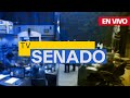 Televisión del Senado