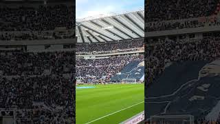 🏟 Eddie Howe's Black and White Army! Newcastle v Fulham