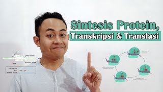 Proses Sintesis Protein, Transkripsi, dan Translasi