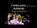 tiempo de adviento cantos para adviento Álbum brotes de esperanza