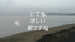 波情報2021年9月2日（木）千葉南房総平砂浦海岸【巴ポイント】開運波乗り店舗　白浜観光案内所