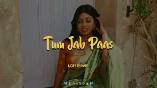 Tum Jab Paas - Lofi 🍂 Hindi Lofi 🍂