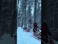 santa’s reindeer sleigh ride🦌❄️ finland lapland winter shorts travel