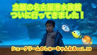 【名古屋港水族館】念願の名古屋港水族館デビュー！イルカ、シャチに大興奮！！〜シュークリームのしゅーちゃんねるvol.39〜 #名古屋 #名古屋港水族館 #イルカ #イルカショー #dolphin