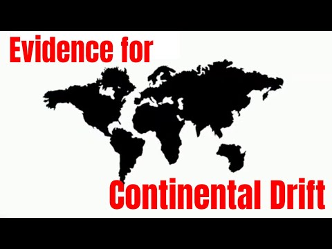 What are the 4 pieces of evidence for continental drift?